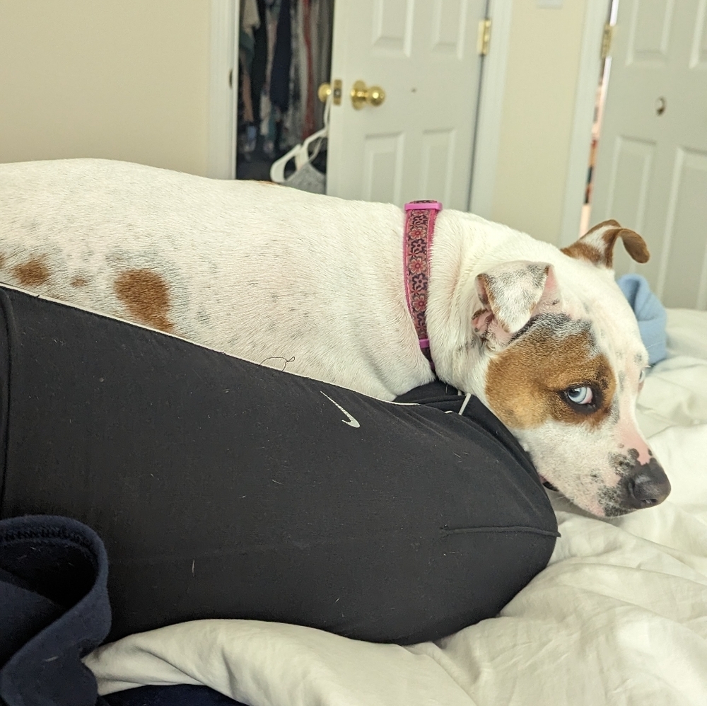 Meet your Posher, Jen